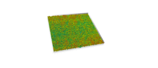 Wafer 3D Inspection WM Series Knowledge