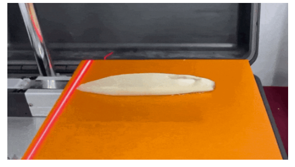 Industry Application: Empowering Meat Processing with 3D Line Laser Measuring Instrument & Non-Contact Surface Measurement